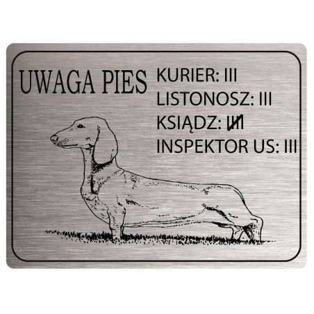 Tabliczka ostrzegawcza uwaga pies jamnik