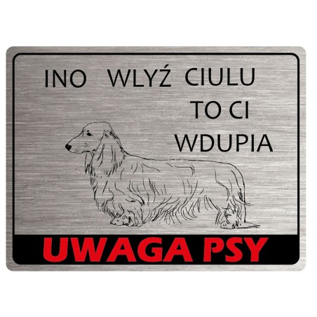 Tabliczka ostrzegawcza uwaga pies
