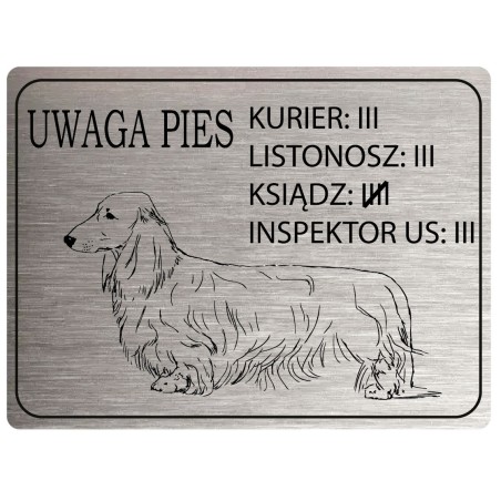 Tabliczka ostrzegawcza uwaga pies jamnik długowłosy