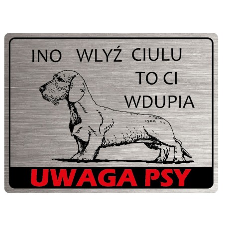 Tabliczka ostrzegawcza uwaga pies jamnik szorstkowłosy
