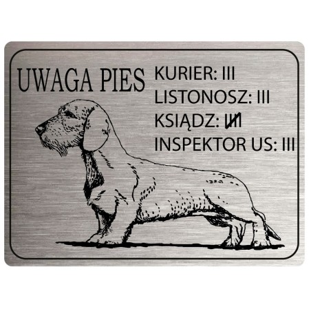Tabliczka Uwaga Pies Jamnik krótkowłosy