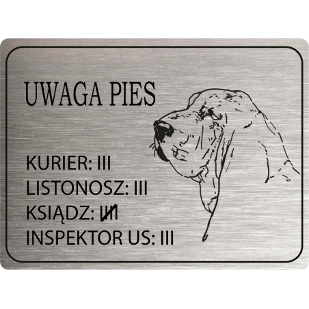 Tabliczka ostrzegawcza uwaga pies Basset