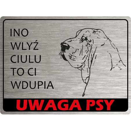 Tabliczka ostrzegawcza uwaga pies Basset
