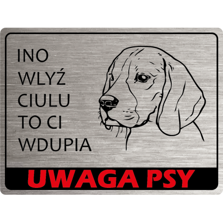 Tabliczka ostrzegawcza uwaga pies Beagle