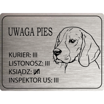 Tabliczka Uwaga Pies Beagle