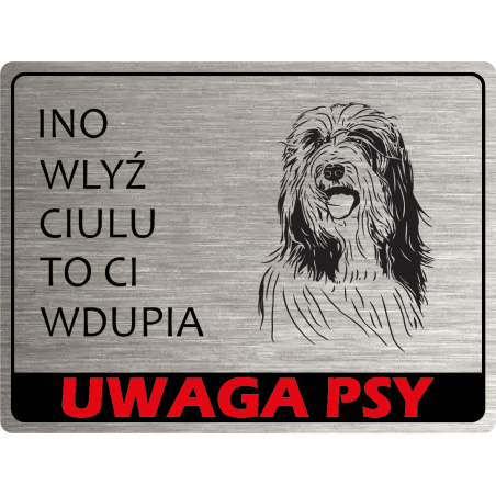 Tabliczka ostrzegawcza uwaga pies bearded collie