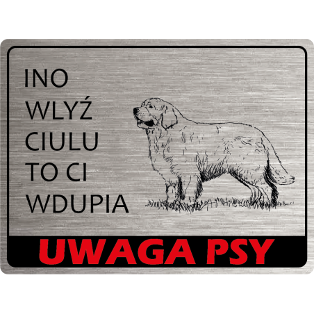 Tabliczka ostrzegawcza uwaga pies berneńczyk