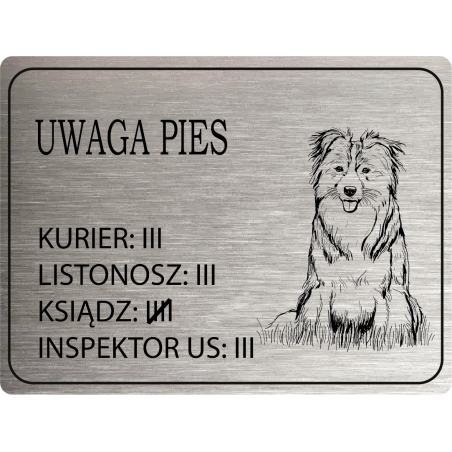 Tabliczka ostrzegawcza uwaga pies border collie