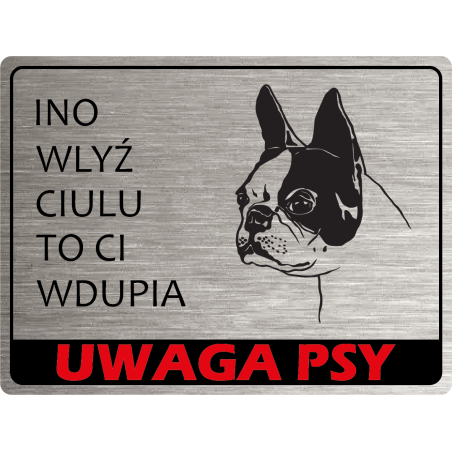 Tabliczka ostrzegawcza uwaga pies boston