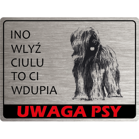 Tabliczka ostrzegawcza uwaga pies briard