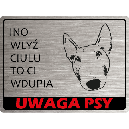 Tabliczka ostrzegawcza uwaga pies bulterier