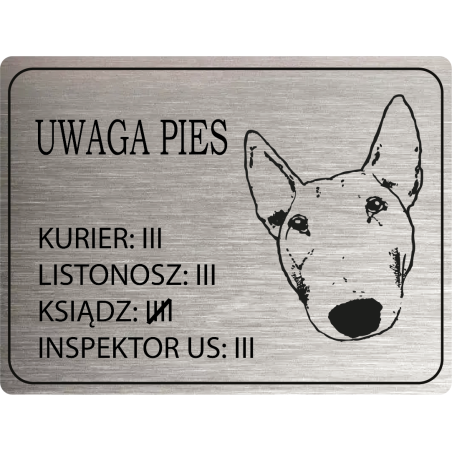 Tabliczka ostrzegawcza uwaga pies bulterier