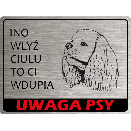 Tabliczka ostrzegawcza uwaga pies cavalier