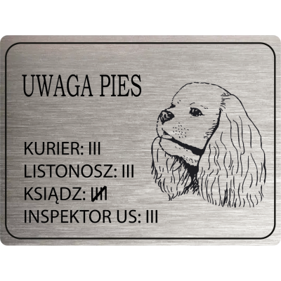 Tabliczka Uwaga Pies cavalier