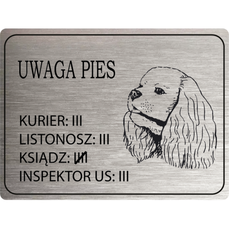 Tabliczka ostrzegawcza uwaga pies cavalier