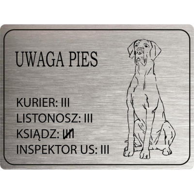 Tabliczka Uwaga pies dog...