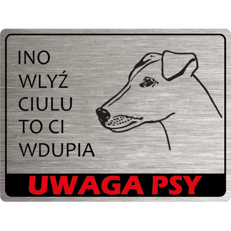 Tabliczka ostrzegawcza uwaga pies foksterier gładki