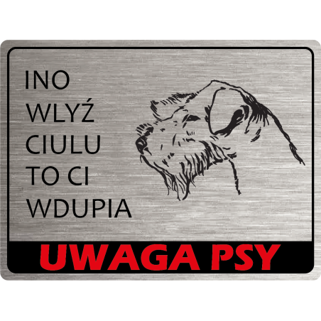Tabliczka ostrzegawcza uwaga pies foksterier