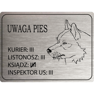 Tabliczka Uwaga pies husky