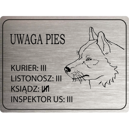 Tabliczka ostrzegawcza uwaga pies husky