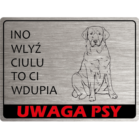 Tabliczka ostrzegawcza uwaga pies labrador