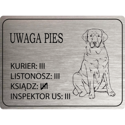 Tabliczka Uwaga pies labrador