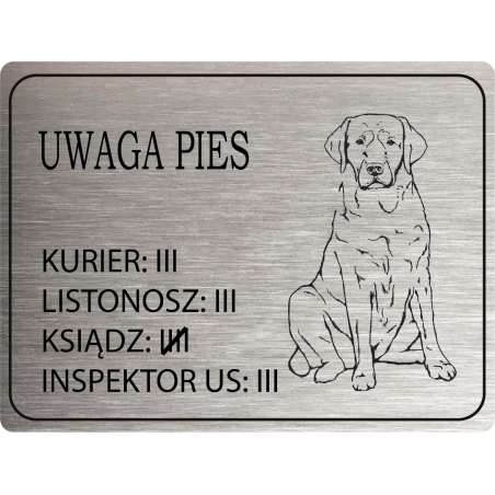 Tabliczka ostrzegawcza uwaga pies labrador