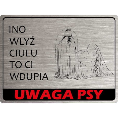 Tabliczka ostrzegawcza uwaga pies maltańczyk
