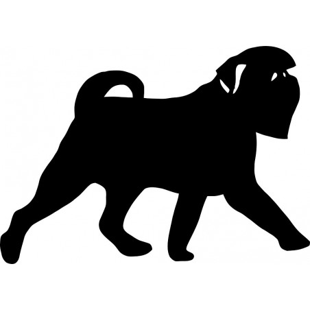 Naklejka gryfonik brukselski