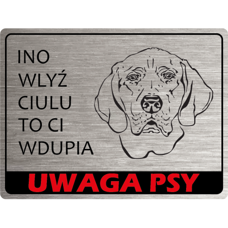 Tabliczka ostrzegawcza uwaga pies ogar polski