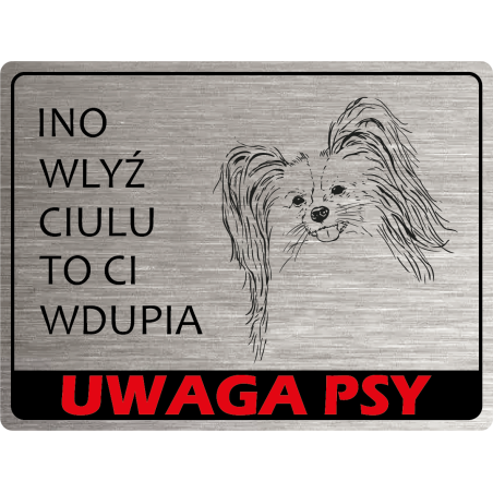 Tabliczka ostrzegawcza uwaga pies papilon