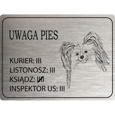 Tabliczka Uwaga pies papilon