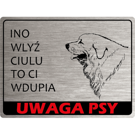 Tabliczka ostrzegawcza uwaga pies podhalan