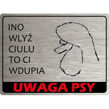 Tabliczka ostrzegawcza uwaga pies pudel