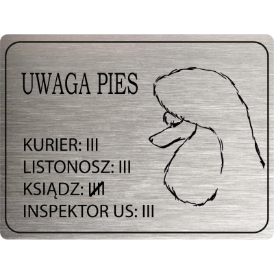 Tabliczka Uwaga pies pudel