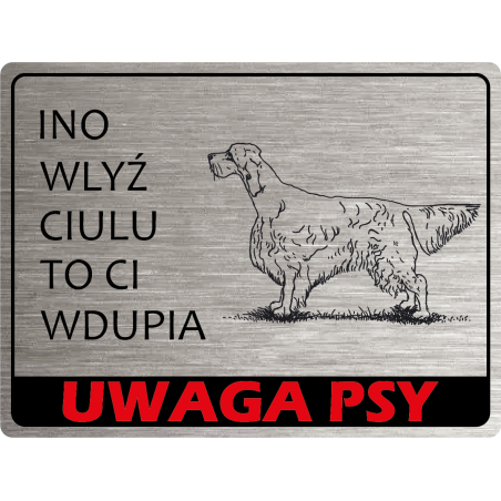 Tabliczka ostrzegawcza uwaga pies setter