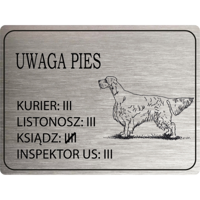 Tabliczka Uwaga pies setter