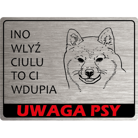 Tabliczka ostrzegawcza uwaga pies shiba