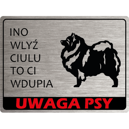 Tabliczka ostrzegawcza uwaga pies szpic