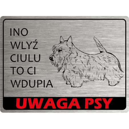 Tabliczka ostrzegawcza uwaga pies terrier szkocki