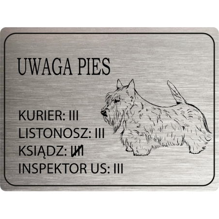 Tabliczka ostrzegawcza uwaga pies terrier szkocki