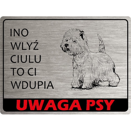 Tabliczka ostrzegawcza uwaga pies terrier west