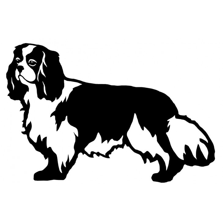 naklejka cavalier king charles spaniel