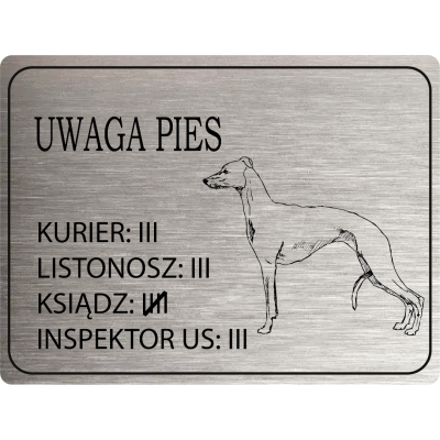 Tabliczka Uwaga pies Whippet