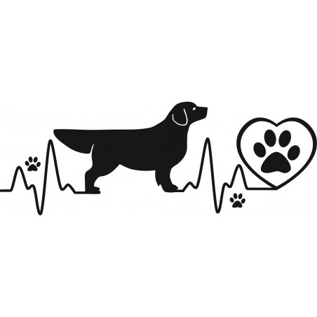 naklejka cardio golder retriver III