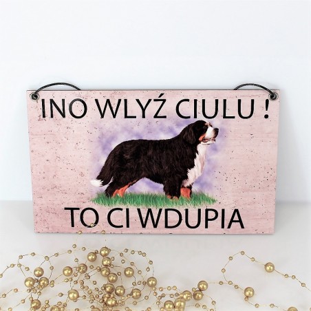 Tabliczka INO Berneński pies pasterski K