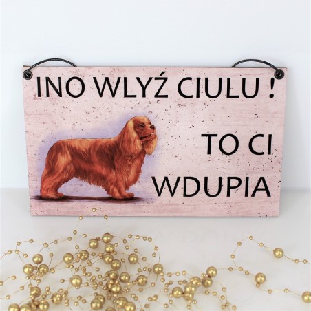 Tabliczka INO Cavalier rubin K