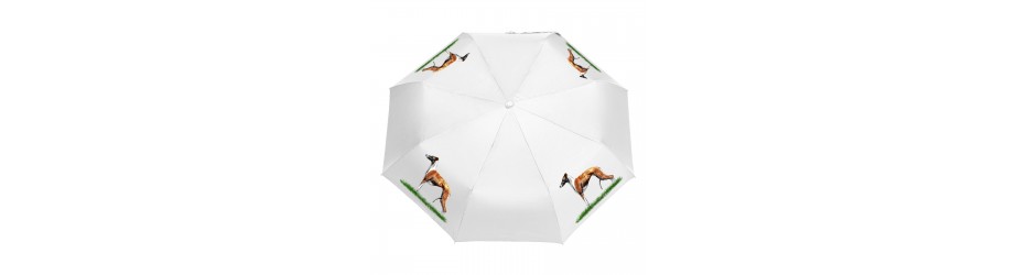 Parasole
